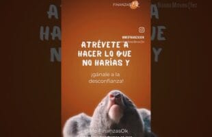 ¿Te atreves a DAR EL SALTO? ✅ (01) | Finanzas Ok